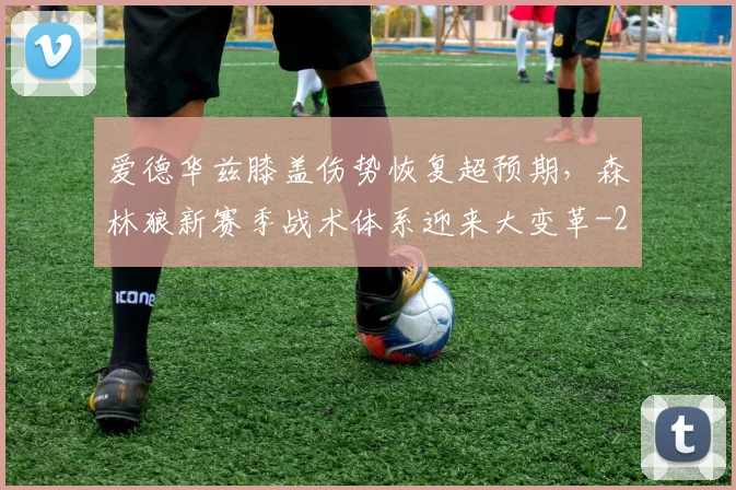爱德华兹膝盖伤势恢复超预期，森林狼新赛季战术体系迎来大变革