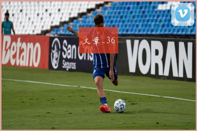 文章_36